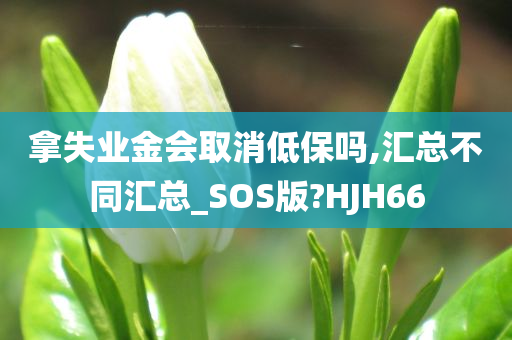 拿失业金会取消低保吗,汇总不同汇总_SOS版?HJH66