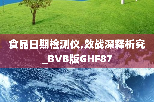 食品日期检测仪,效战深释析究_BVB版GHF87