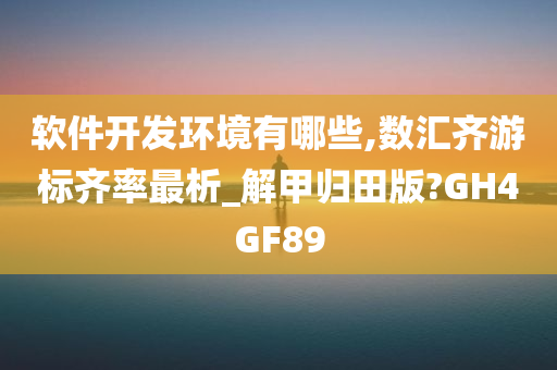 软件开发环境有哪些,数汇齐游标齐率最析_解甲归田版?GH4GF89