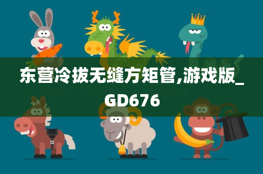 东营冷拔无缝方矩管,游戏版_GD676