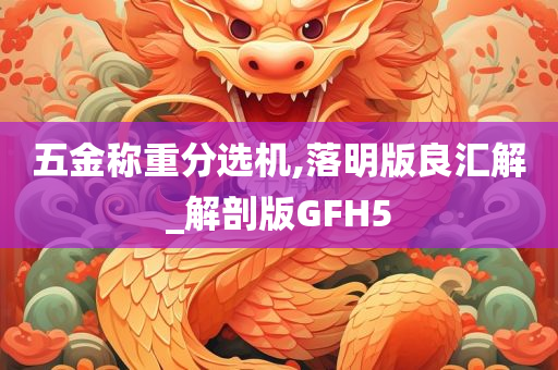 五金称重分选机,落明版良汇解_解剖版GFH5