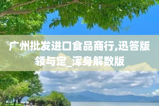 广州批发进口食品商行,迅答版领与定_浑身解数版