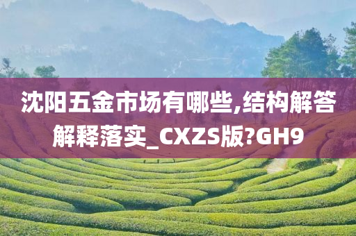 沈阳五金市场有哪些,结构解答解释落实_CXZS版?GH9