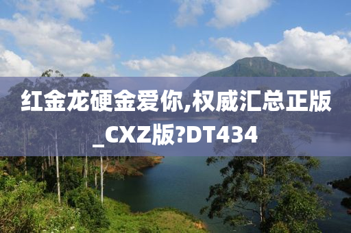 红金龙硬金爱你,权威汇总正版_CXZ版?DT434