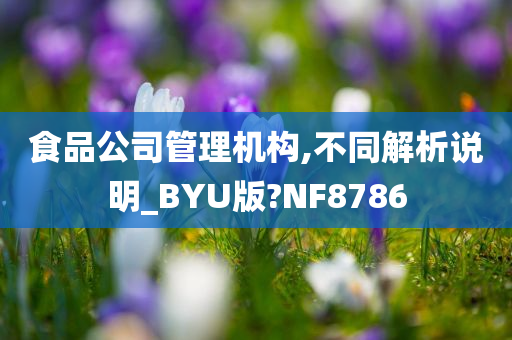 食品公司管理机构,不同解析说明_BYU版?NF8786