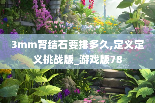 3mm肾结石要排多久,定义定义挑战版_游戏版78