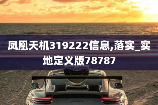 凤凰天机319222信息,落实_实地定义版78787