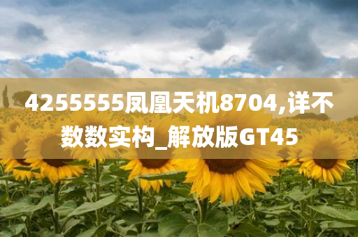 4255555凤凰天机8704,详不数数实构_解放版GT45