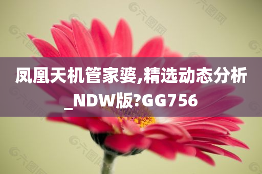 凤凰天机管家婆,精选动态分析_NDW版?GG756