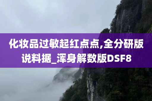 化妆品过敏起红点点,全分研版说料据_浑身解数版DSF8