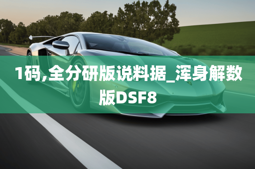 1码,全分研版说料据_浑身解数版DSF8