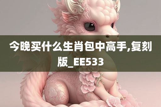 今晚买什么生肖包中高手,复刻版_EE533