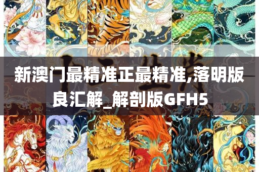 新澳门最精准正最精准,落明版良汇解_解剖版GFH5