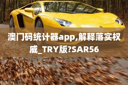 澳门码统计器app,解释落实权威_TRY版?SAR56