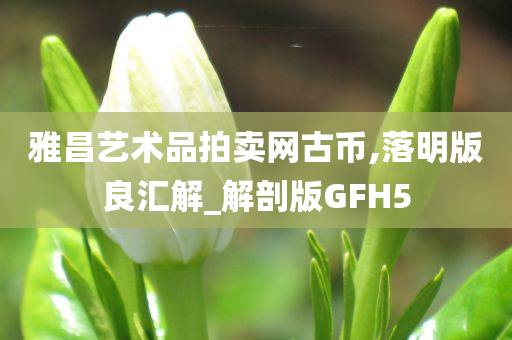 雅昌艺术品拍卖网古币,落明版良汇解_解剖版GFH5