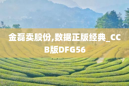 金磊卖股份,数据正版经典_CCB版DFG56