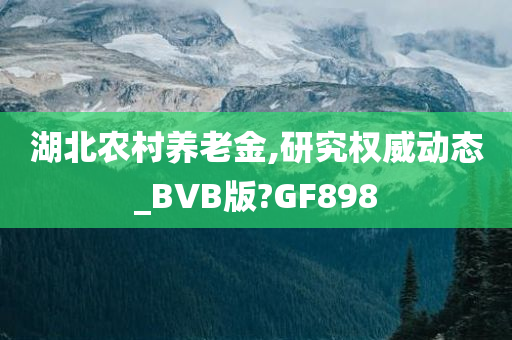 湖北农村养老金,研究权威动态_BVB版?GF898