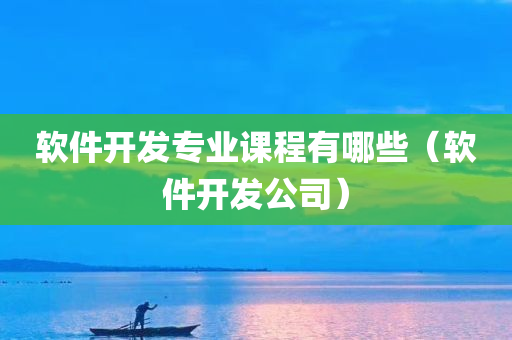 软件开发专业课程有哪些（软件开发公司）