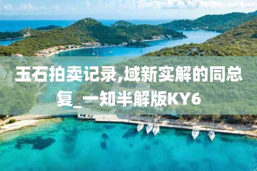 玉石拍卖记录,域新实解的同总复_一知半解版KY6