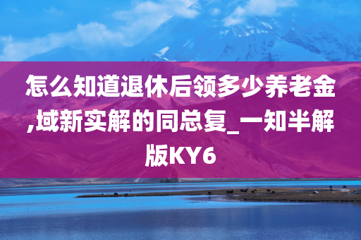 怎么知道退休后领多少养老金,域新实解的同总复_一知半解版KY6