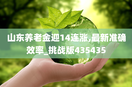 山东养老金迎14连涨,最新准确效率_挑战版435435