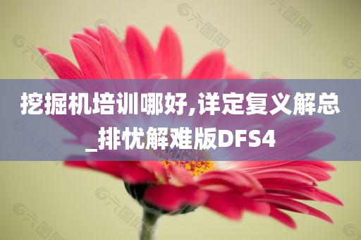 挖掘机培训哪好,详定复义解总_排忧解难版DFS4