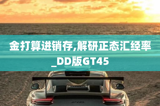 金打算进销存,解研正态汇经率_DD版GT45