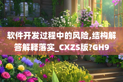 软件开发过程中的风险,结构解答解释落实_CXZS版?GH9