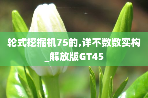 轮式挖掘机75的,详不数数实构_解放版GT45