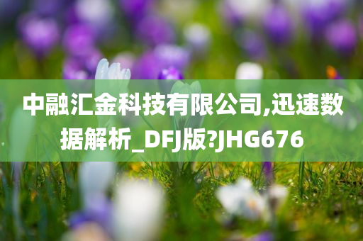 中融汇金科技有限公司,迅速数据解析_DFJ版?JHG676