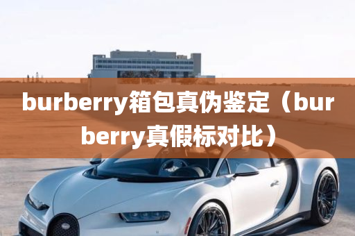 burberry箱包真伪鉴定（burberry真假标对比）