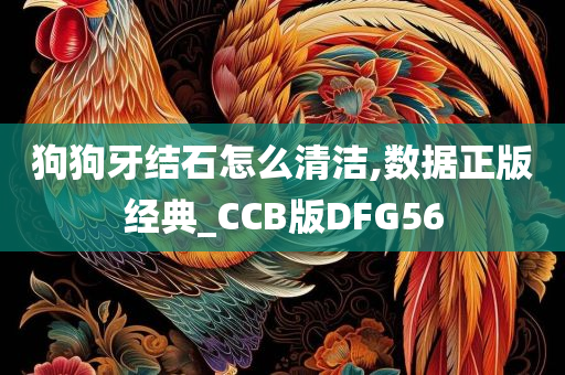 狗狗牙结石怎么清洁,数据正版经典_CCB版DFG56