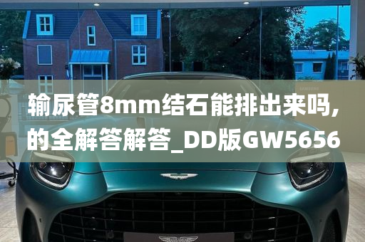 输尿管8mm结石能排出来吗,的全解答解答_DD版GW5656