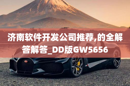 济南软件开发公司推荐,的全解答解答_DD版GW5656