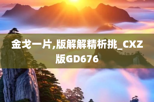 金戈一片,版解解精析挑_CXZ版GD676