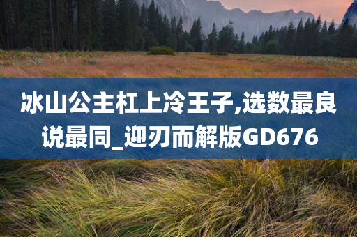 冰山公主杠上冷王子,选数最良说最同_迎刃而解版GD676