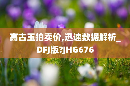 高古玉拍卖价,迅速数据解析_DFJ版?JHG676