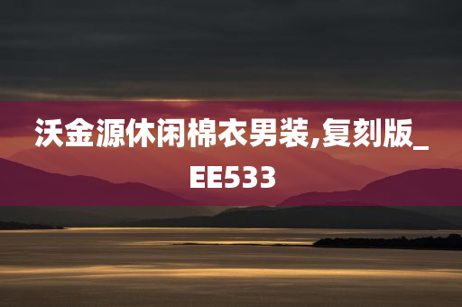 沃金源休闲棉衣男装,复刻版_EE533