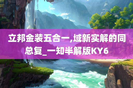 立邦金装五合一,域新实解的同总复_一知半解版KY6