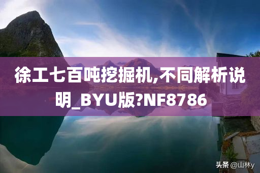 徐工七百吨挖掘机,不同解析说明_BYU版?NF8786