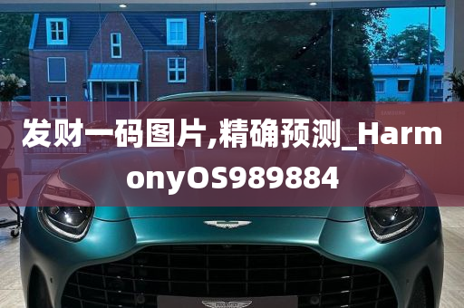 发财一码图片,精确预测_HarmonyOS989884