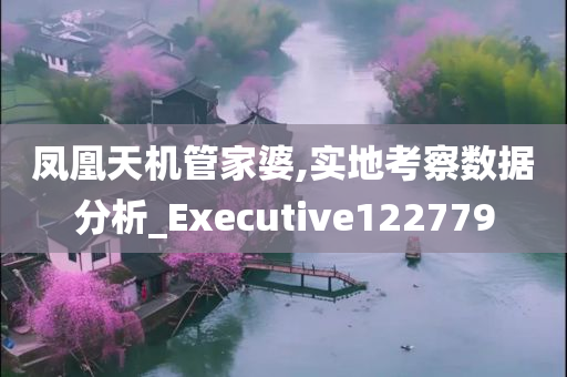 凤凰天机管家婆,实地考察数据分析_Executive122779