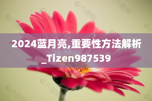 2024蓝月亮,重要性方法解析_Tizen987539