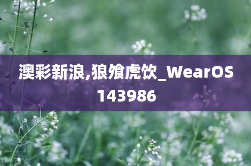 澳彩新浪,狼飧虎饮_WearOS143986