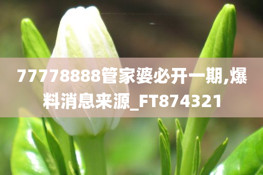 77778888管家婆必开一期,爆料消息来源_FT874321