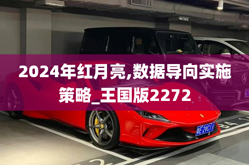 2024年红月亮,数据导向实施策略_王国版2272