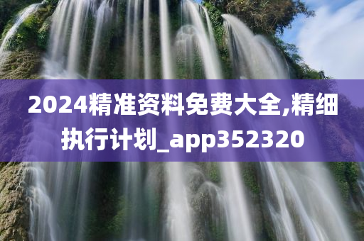 2024精准资料免费大全,精细执行计划_app352320