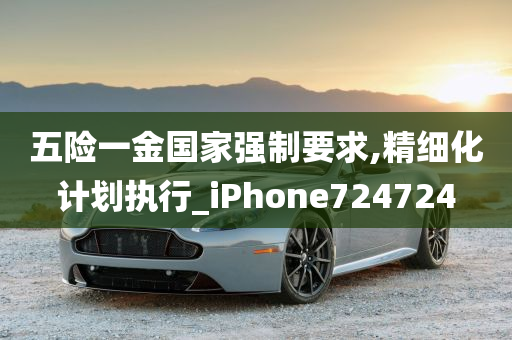 五险一金国家强制要求,精细化计划执行_iPhone724724