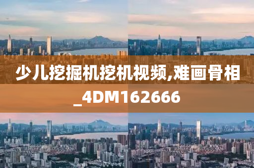 少儿挖掘机挖机视频,难画骨相_4DM162666