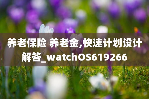 养老保险 养老金,快速计划设计解答_watchOS619266